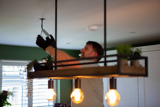 Best 24-Hour Electrician  in Long Lake, IL